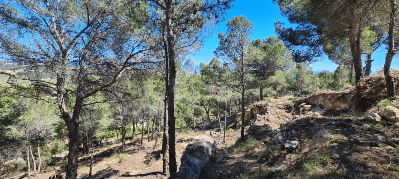 TERRAIN AVEC VUE PANORAMIQUE À CALPE.