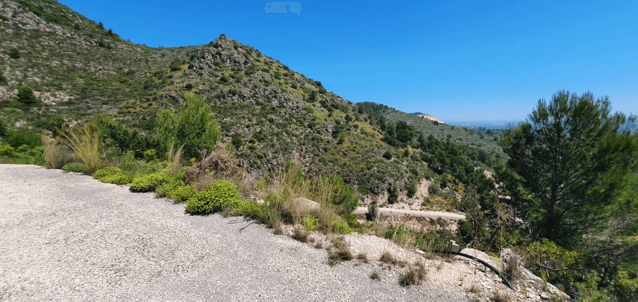 Terrain a Pego