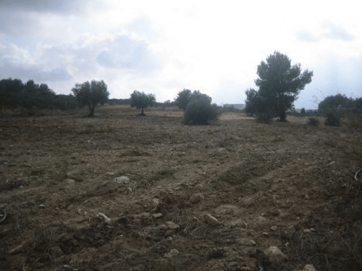 Finca rustique à vendre à Benissa