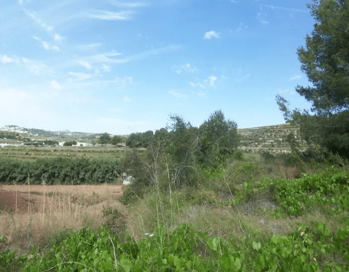 Terrain à bâtir à vendre à Moraira