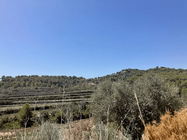 Grundstück in Teulada, Teulada