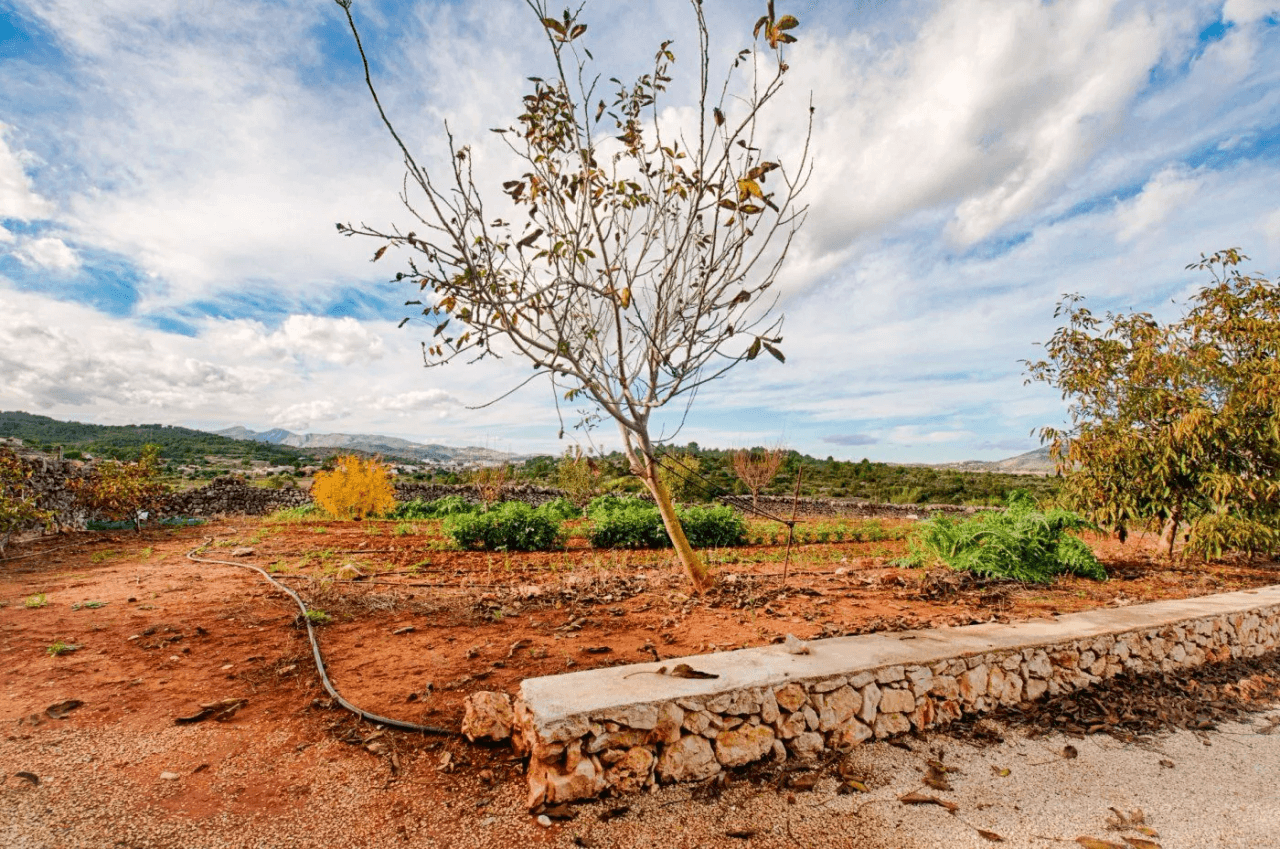 FINCA IN GATA DE GORGOS