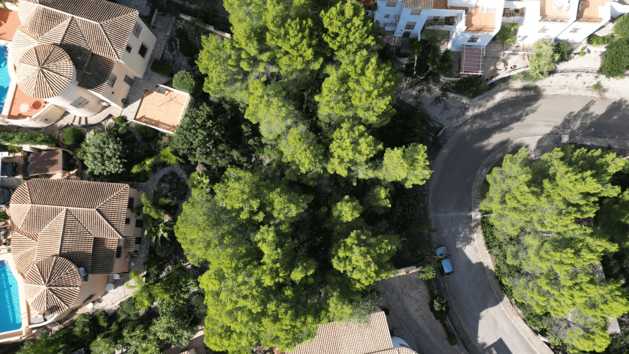 Terrain a Adsubia