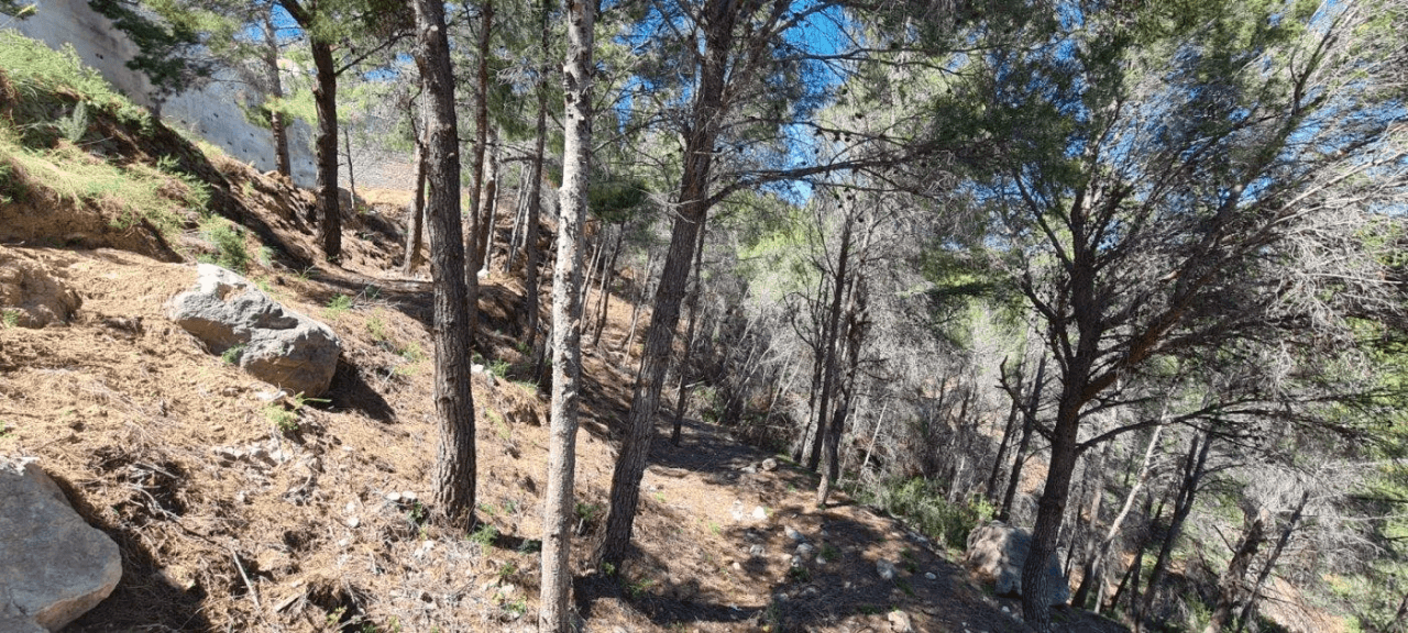 TERRAIN AVEC VUE PANORAMIQUE À CALPE.