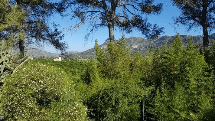 Villa a Gandia