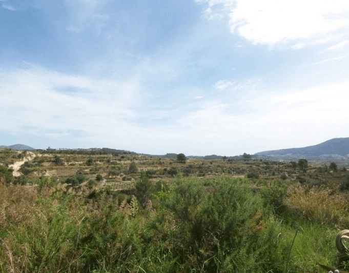 Schönes Finca-Grundstück zu Verkaufen in Teulada