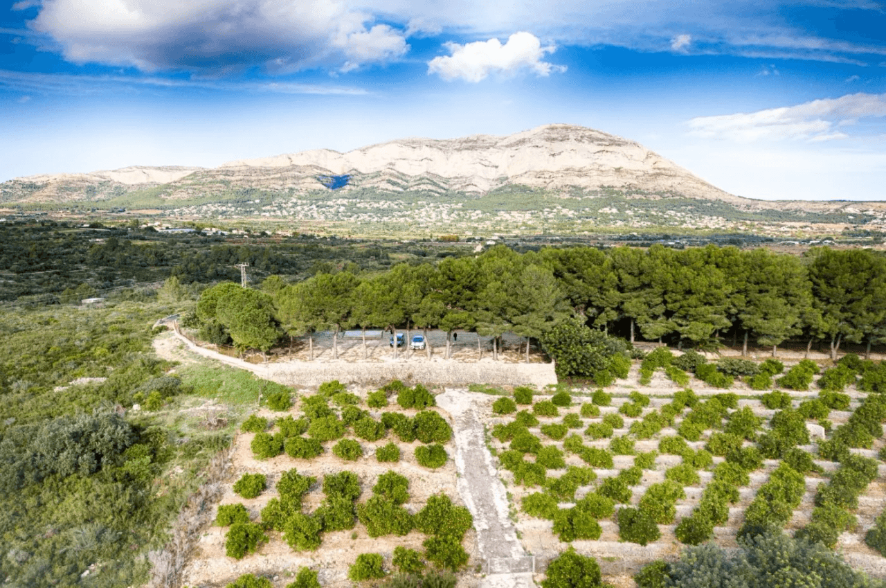 FINCA IN GATA DE GORGOS