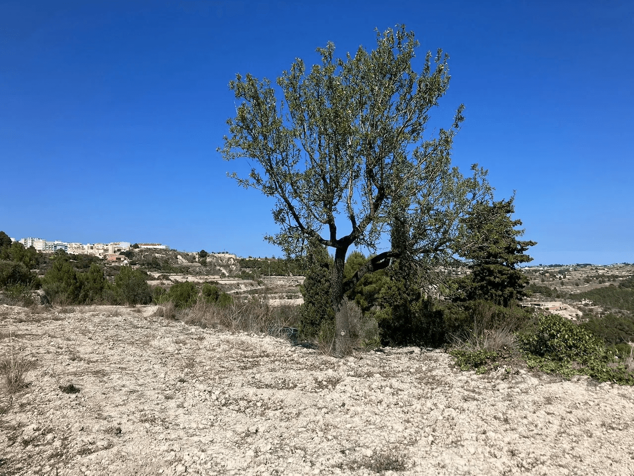 Terrain a Benissa, Benissa