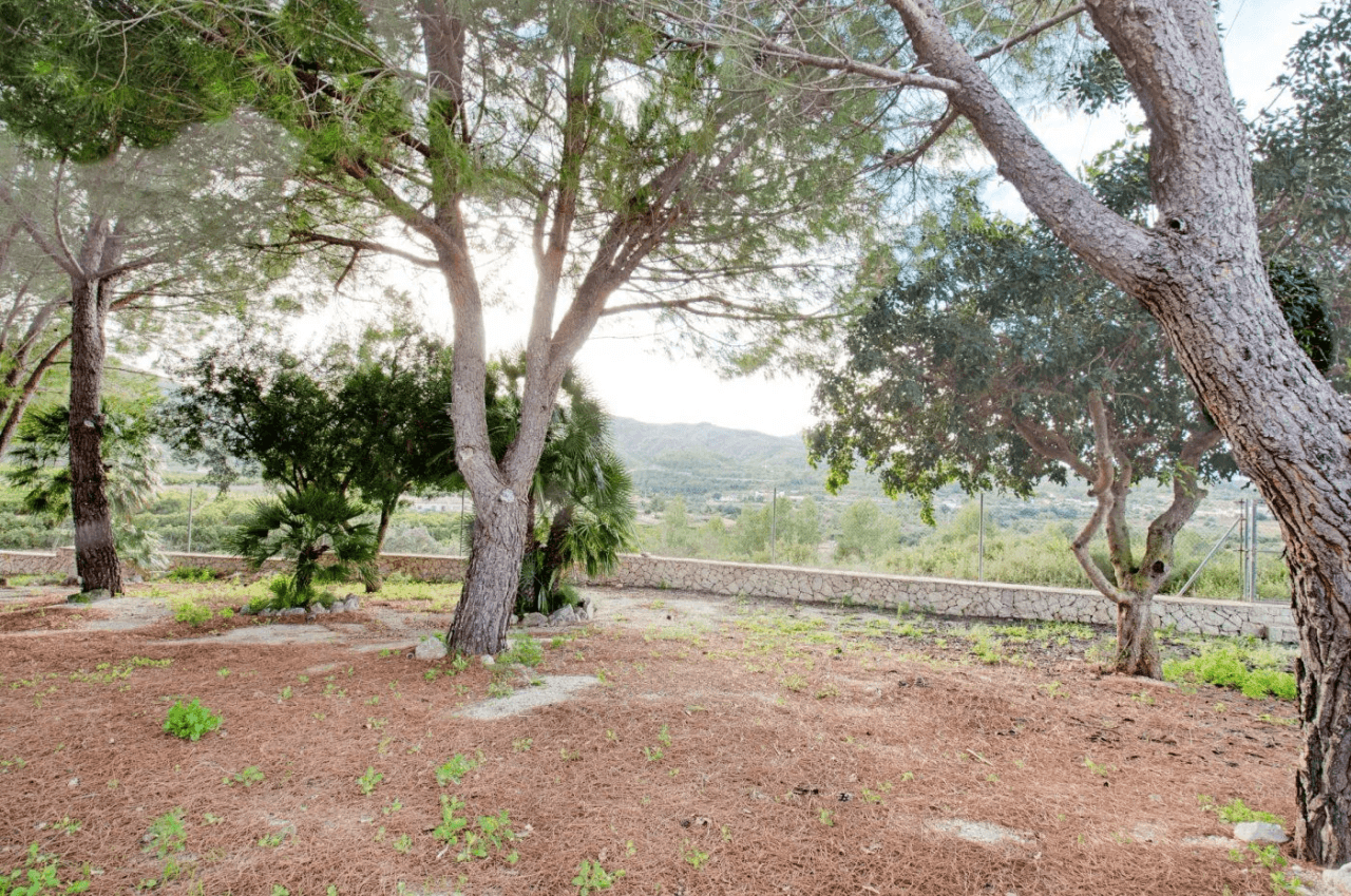 FINCA IN GATA DE GORGOS