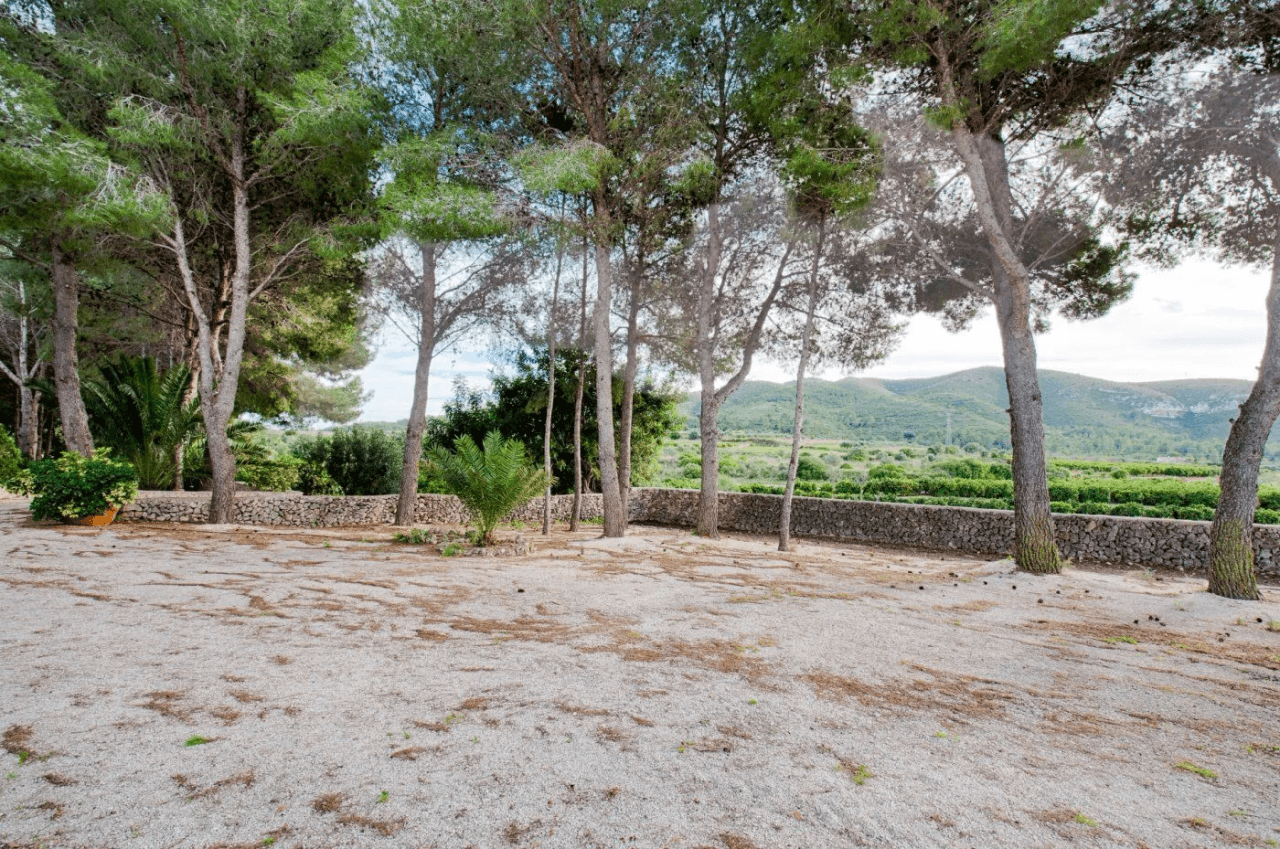 FINCA IN GATA DE GORGOS