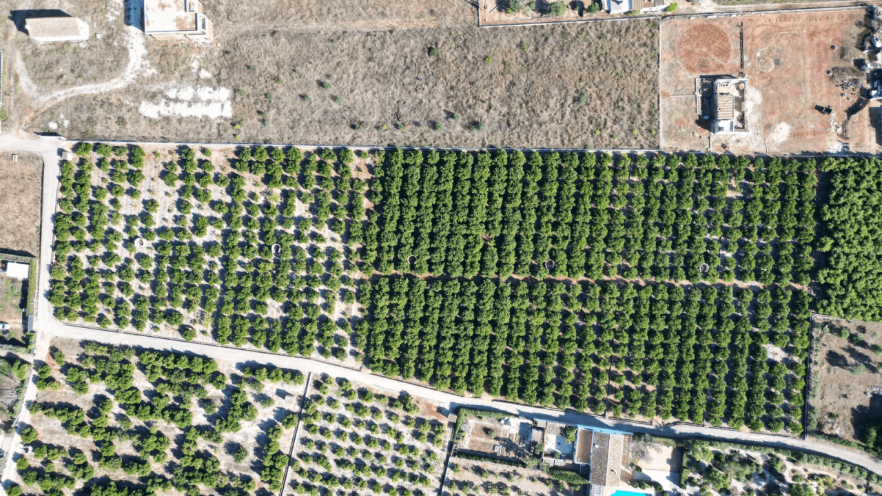 Gran y soleada parcela con más de 15.000m2 en Benidoleig