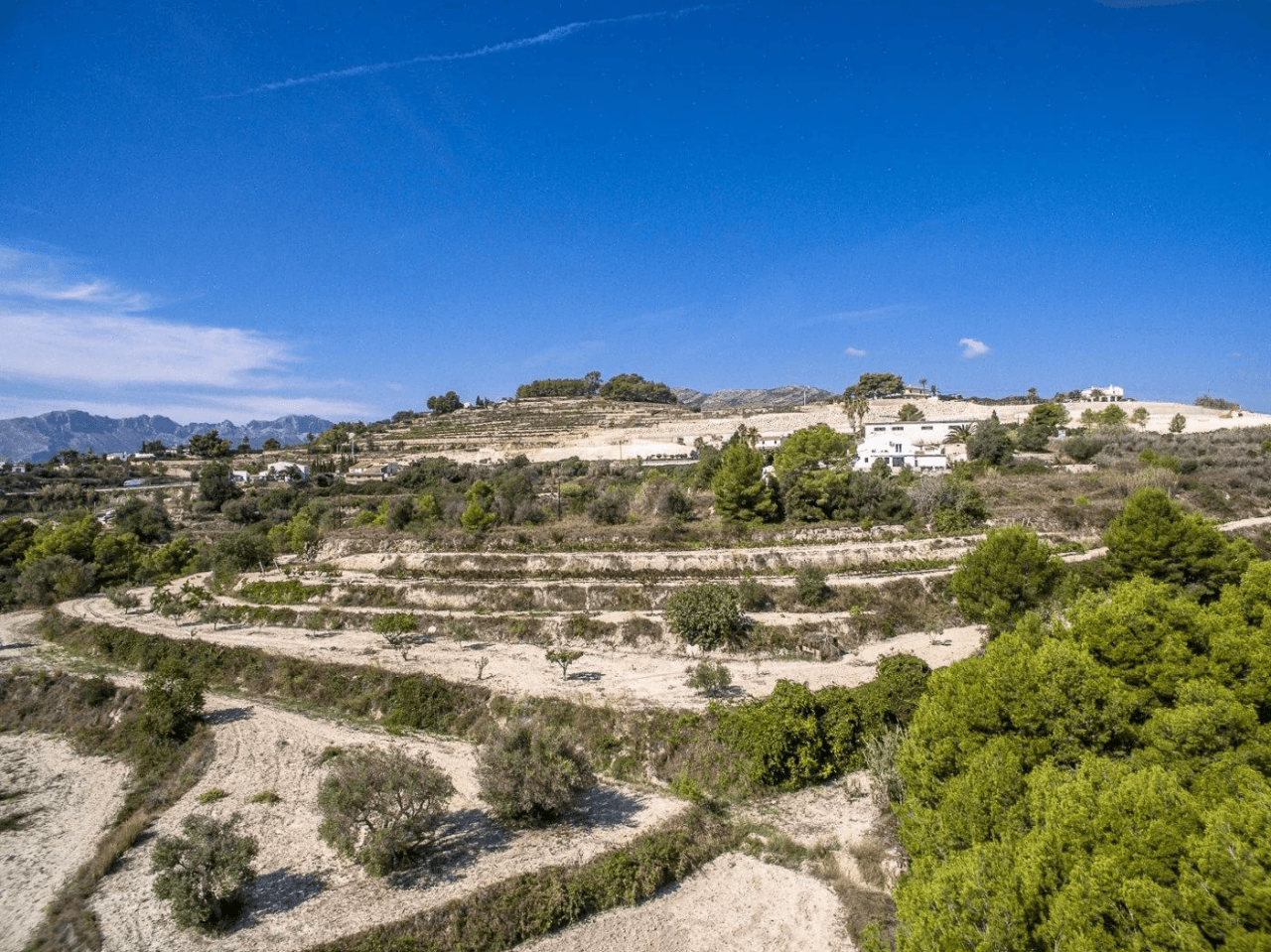 PARCELLE RUSTIQUE AVEC BELLE VUE OUVERTE À BENISSA