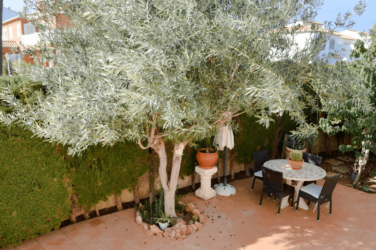 Villa mit 4 Schlafzimmern in Las Marinas, in der Gegend von Las Brisas