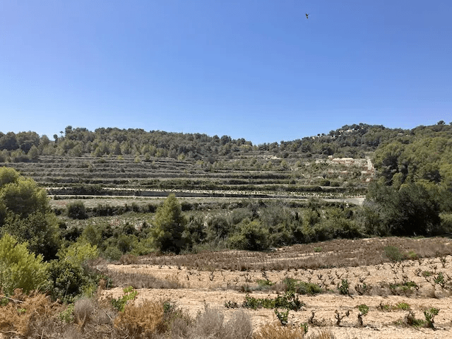 Plot in Teulada, Teulada