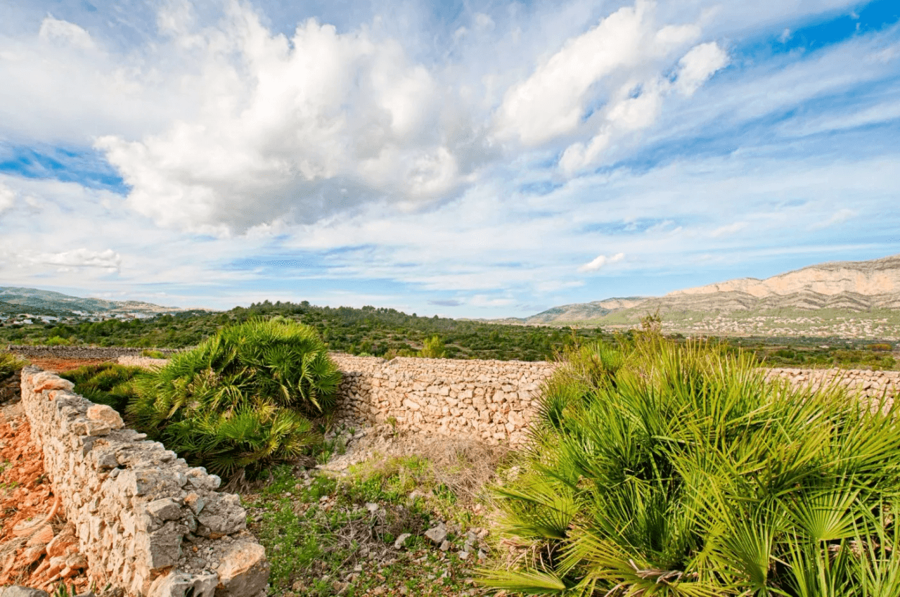 FINCA IN GATA DE GORGOS