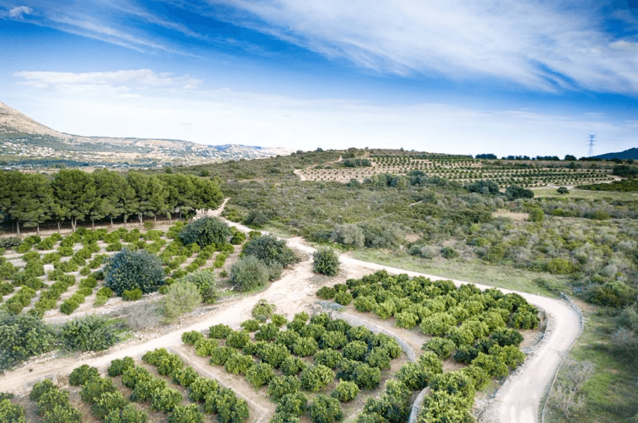 FINCA IN GATA DE GORGOS