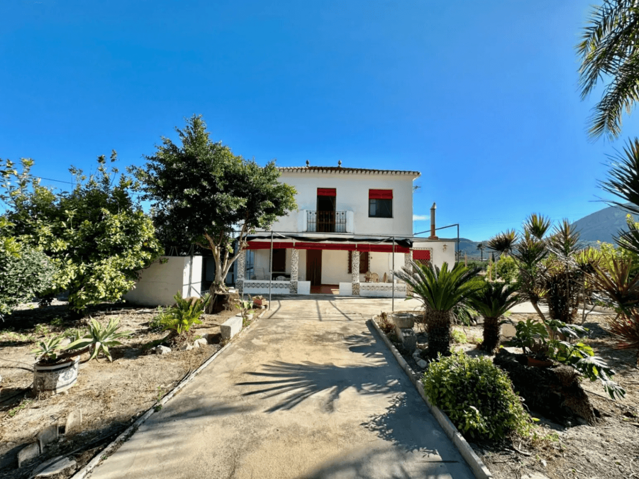 Finca in der Nähe des Stadtzentrums von Pego