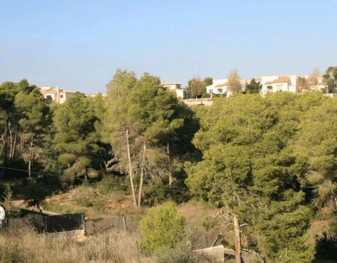 3 Parcelas con bonita vista en venta en Javea