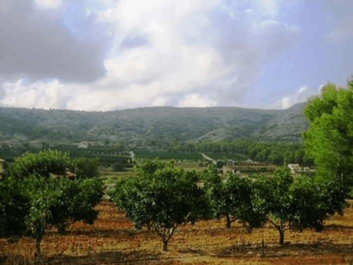Finca rustique à vendre à Benissa