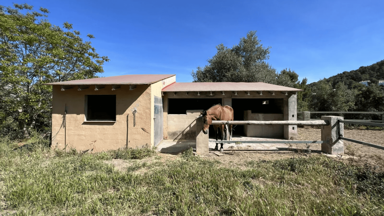 Le design canadien associé à l'ambiance espagnole. Pferdefinca dans la vallée de l'Orb, près de Denia.