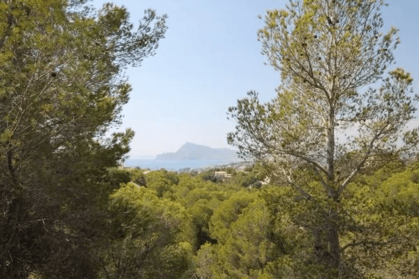 Terrain a Altea