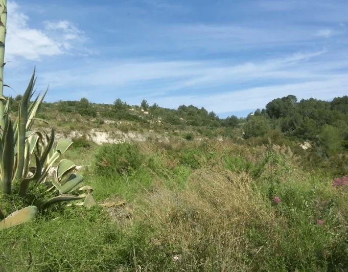 Schönes Finca-Grundstück zu Verkaufen in Teulada