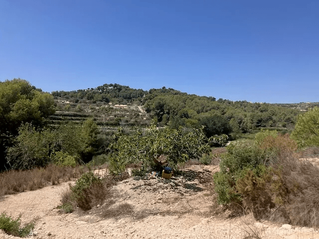 Grundstück in Teulada, Teulada