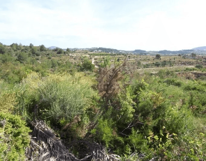 Schönes Finca-Grundstück zu Verkaufen in Teulada