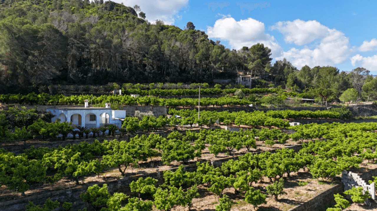 Charme rural avec vue sur la mer et la vallée de Pego