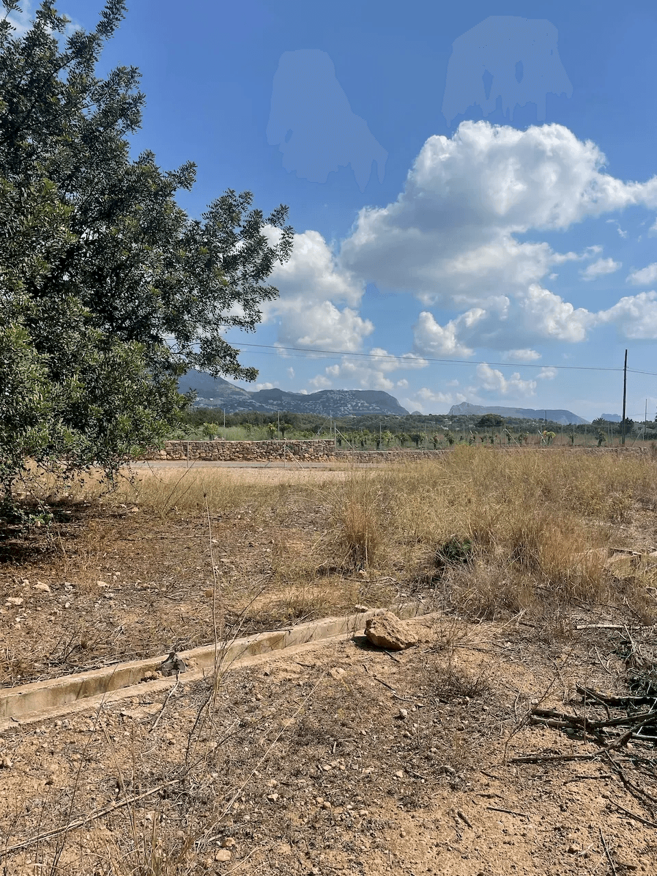 Terrain a Altea, Altea