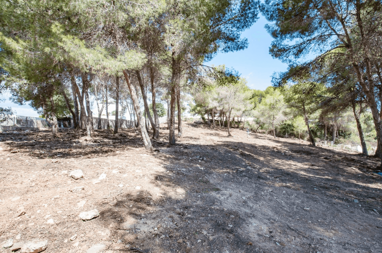 TERRAIN(S) AVEC VUE SUR LA MER À EL PORTET, MORAIRA