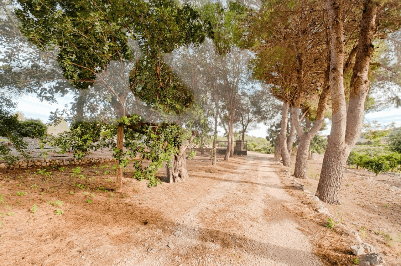 FINCA IN GATA DE GORGOS