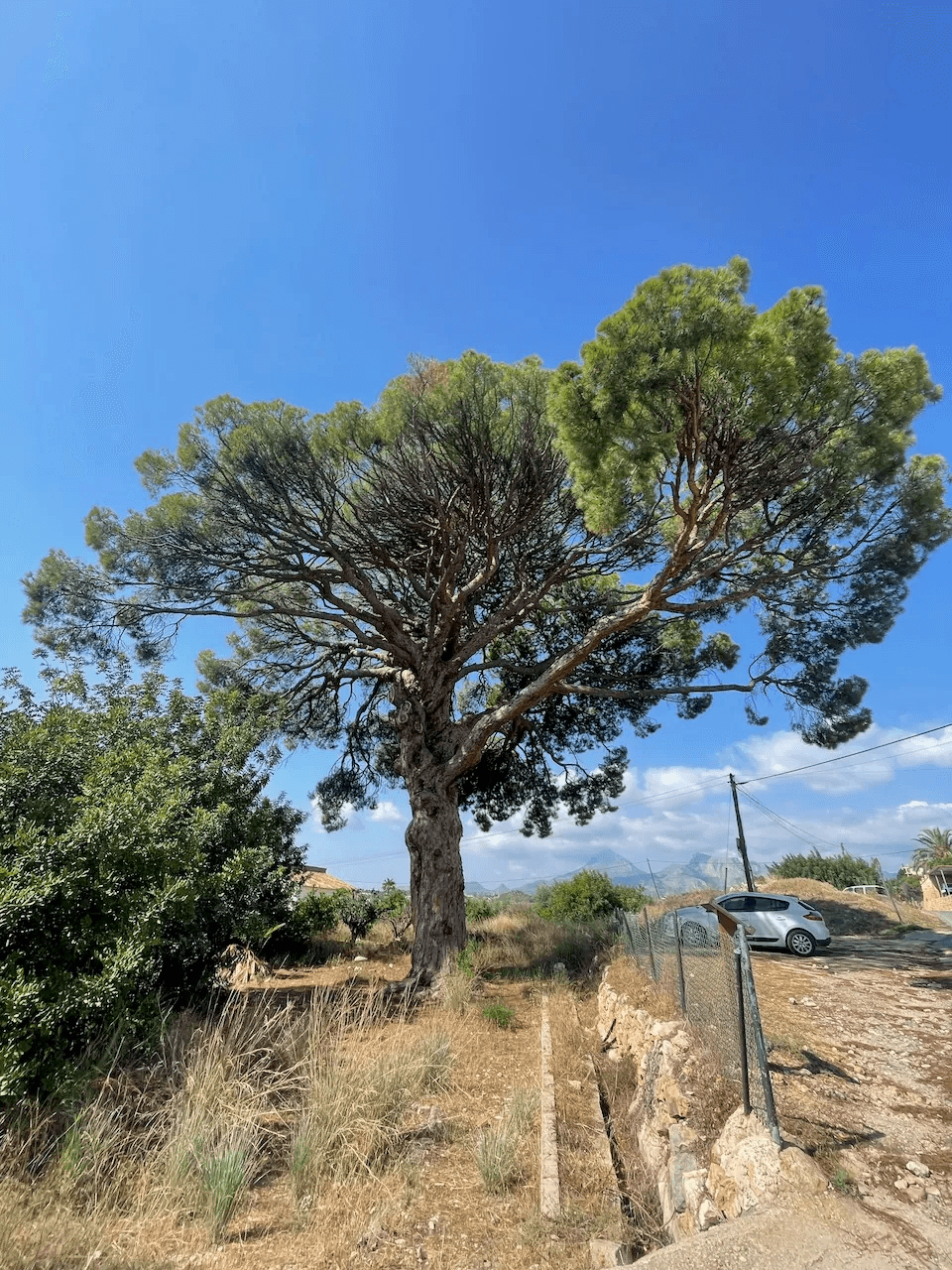 Terrain a Altea, Altea