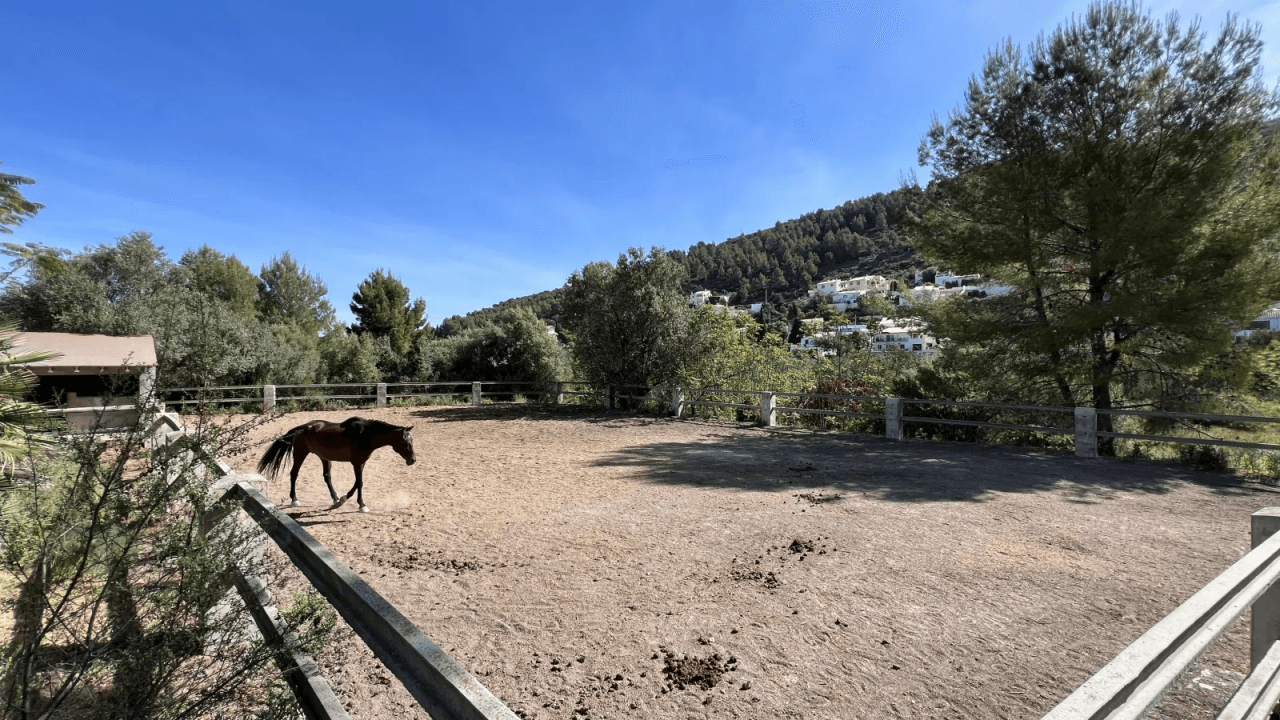 Le design canadien associé à l'ambiance espagnole. Pferdefinca dans la vallée de l'Orb, près de Denia.