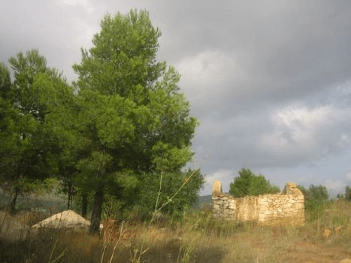 Finca rustique à vendre à Benissa