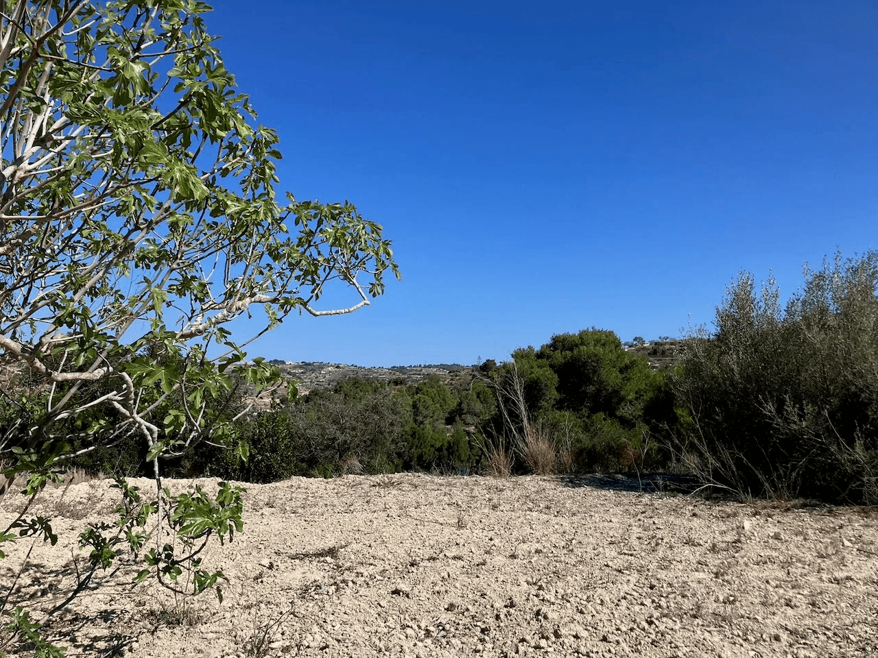 Terrain a Benissa, Benissa