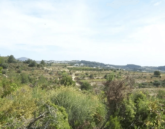 Schönes Finca-Grundstück zu Verkaufen in Teulada