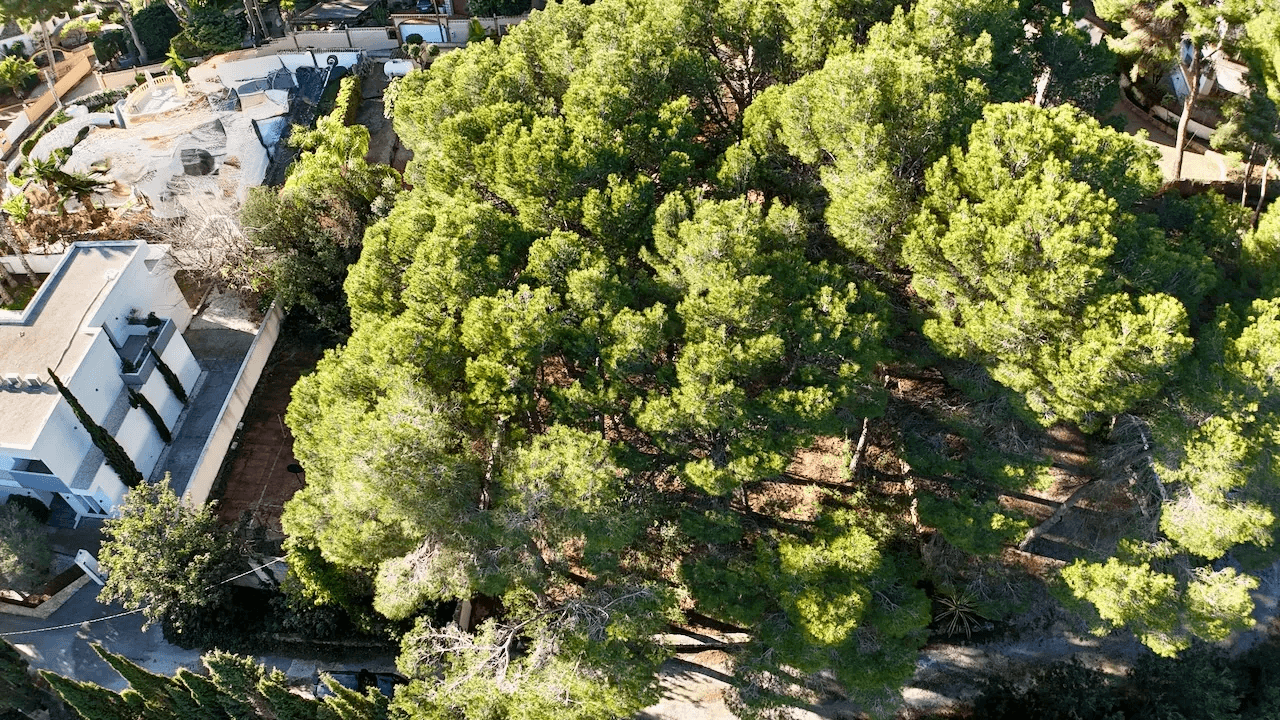 Terrain a Moraira, La Cometa