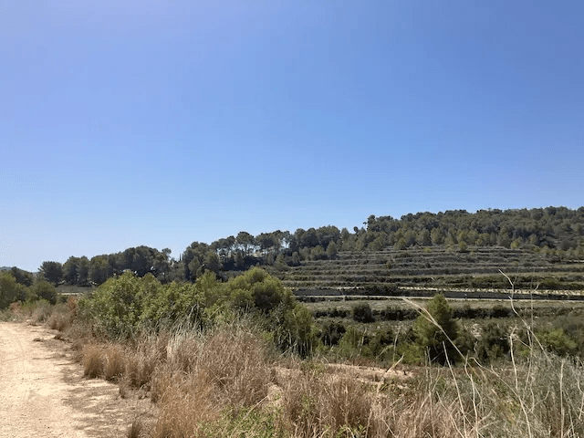 Grundstück in Teulada, Teulada