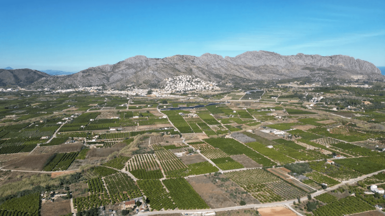 Gran y soleada parcela con más de 15.000m2 en Benidoleig