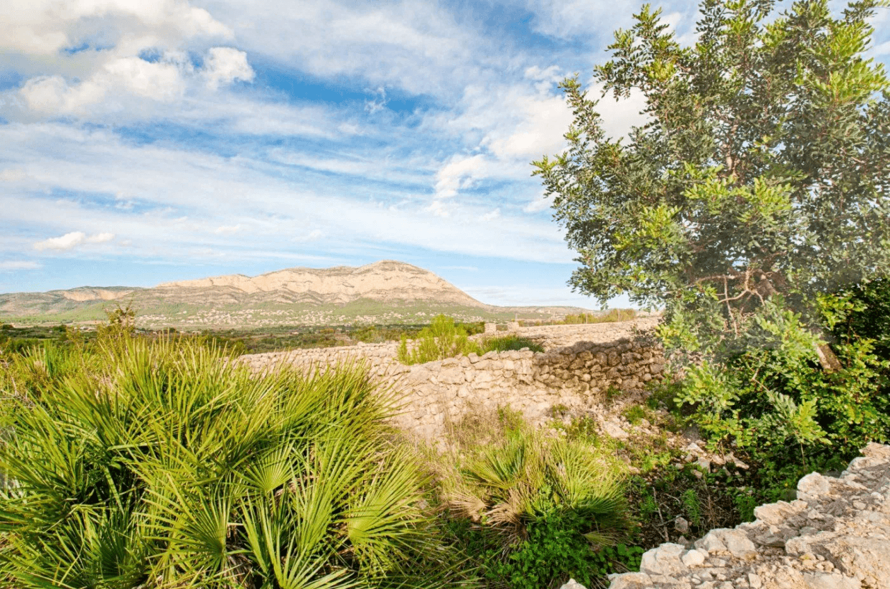 FINCA IN GATA DE GORGOS