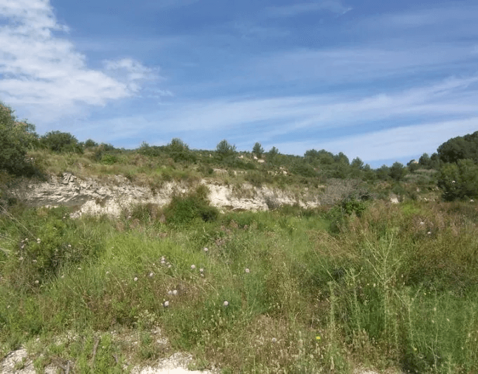 Bonito terreno rústico en venta en Teulada