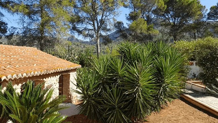 Villa a Gandia