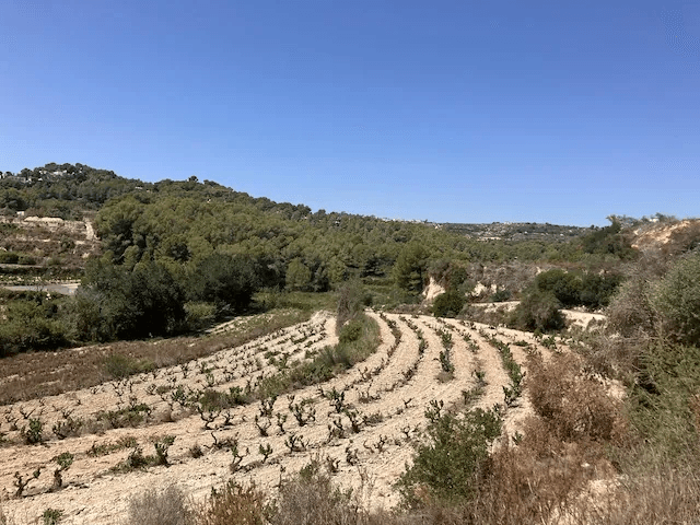 Grundstück in Teulada, Teulada