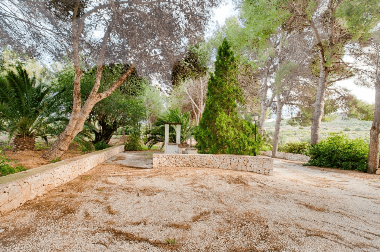 FINCA IN GATA DE GORGOS