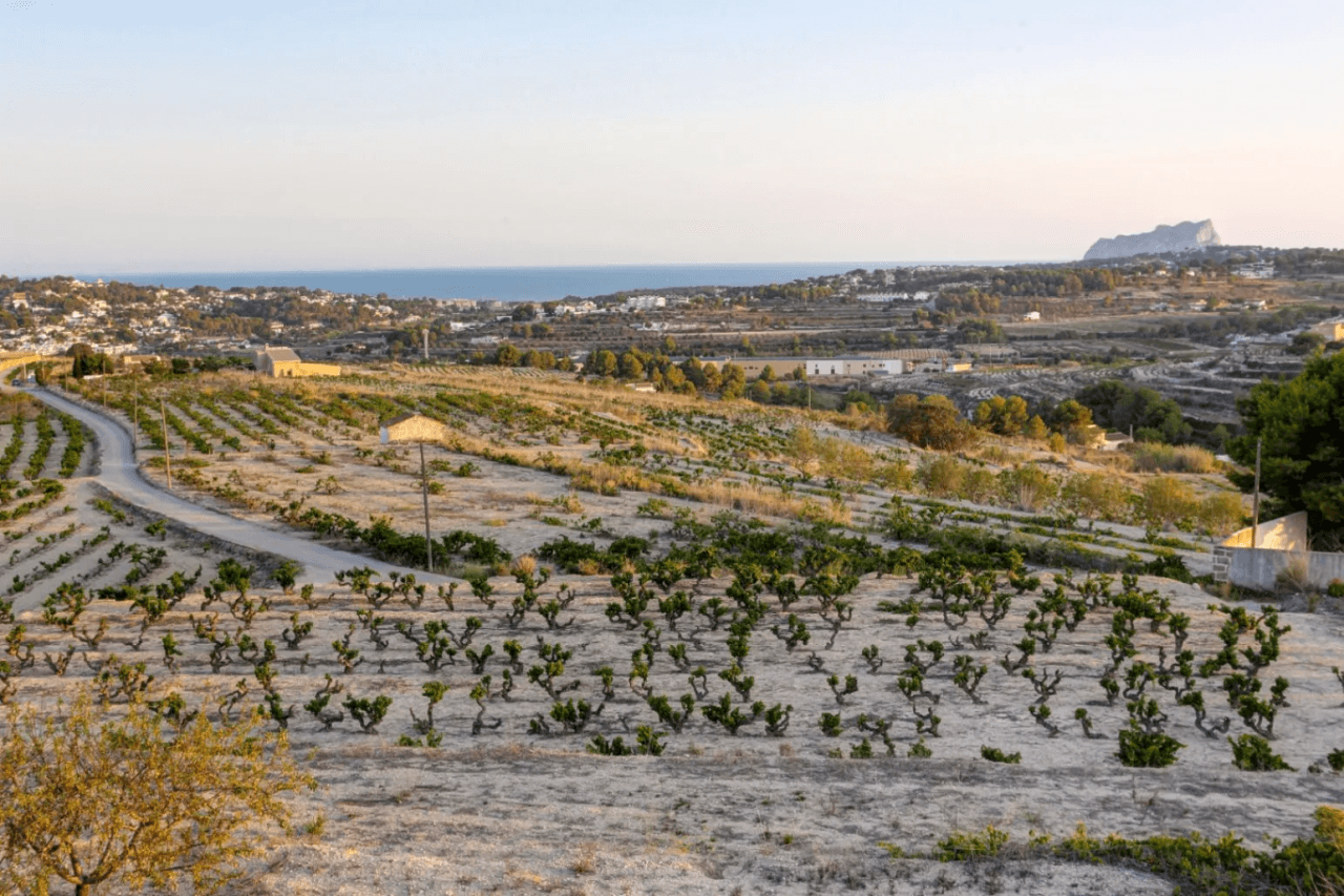 Finca unique à l‘emplacement idéal de Moraira.
