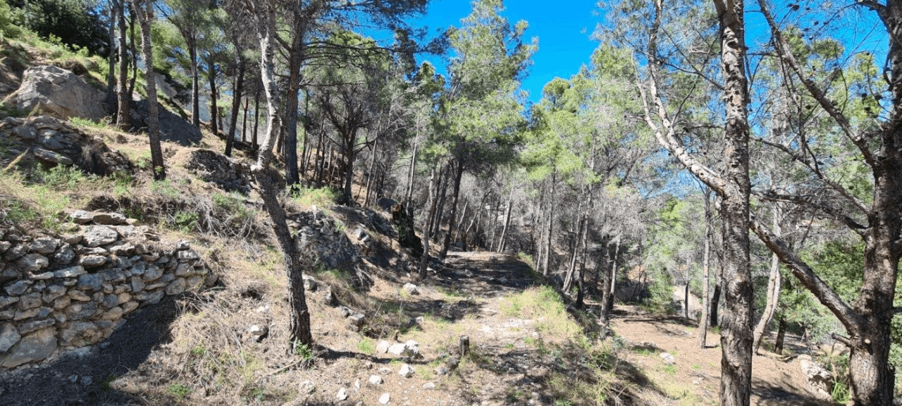 TERRAIN AVEC VUE PANORAMIQUE À CALPE.