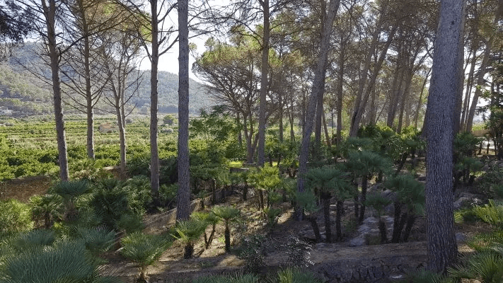 Villa a Gandia