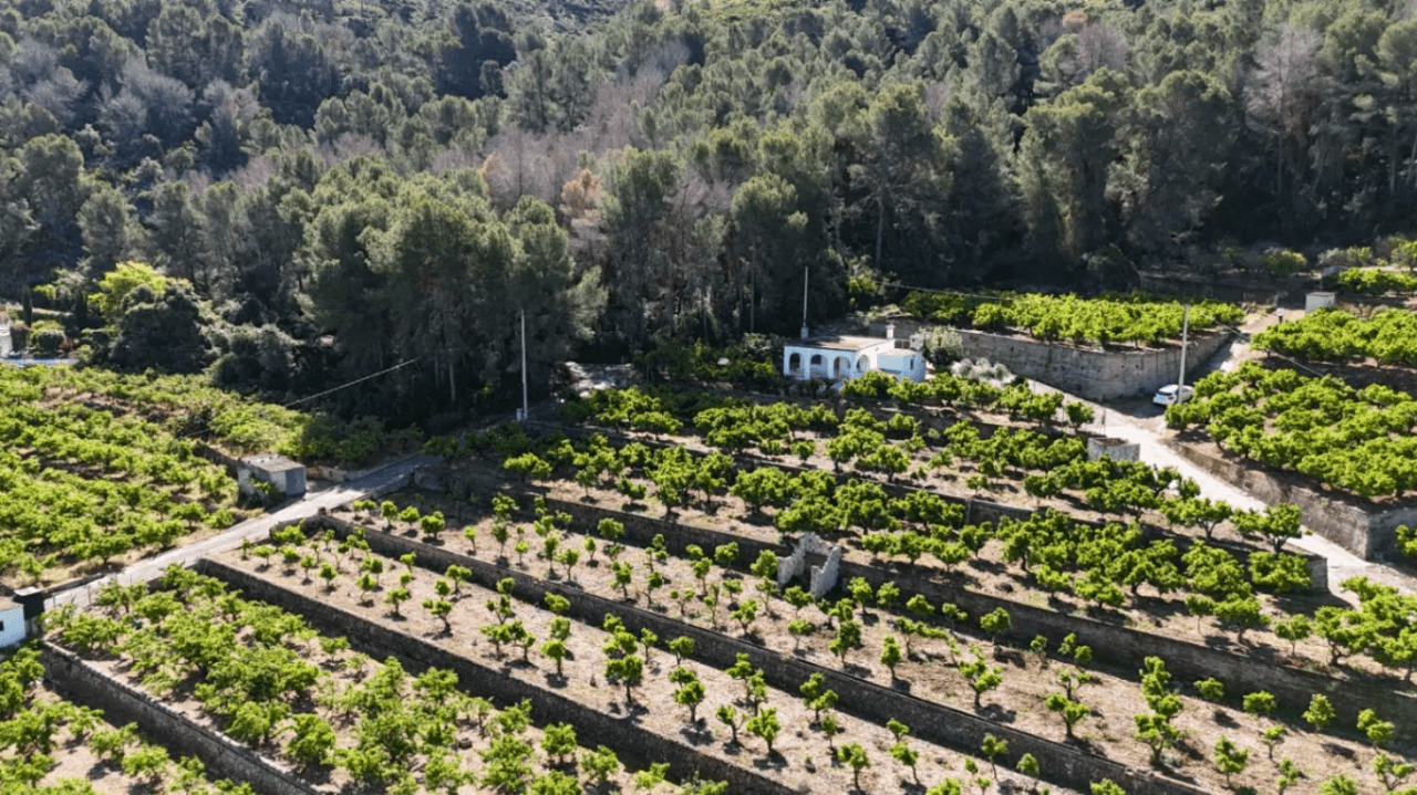 Charme rural avec vue sur la mer et la vallée de Pego