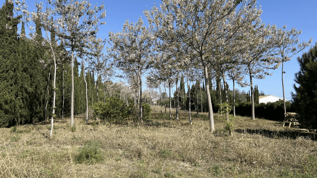 Entrepôt avec terrain de 12 000 m² et appartement